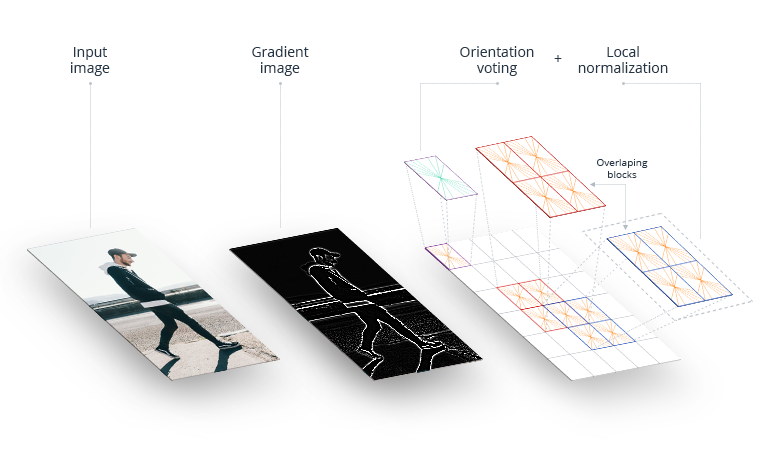 How Machine Learning Algorithms Make Self-Driving Cars a Reality