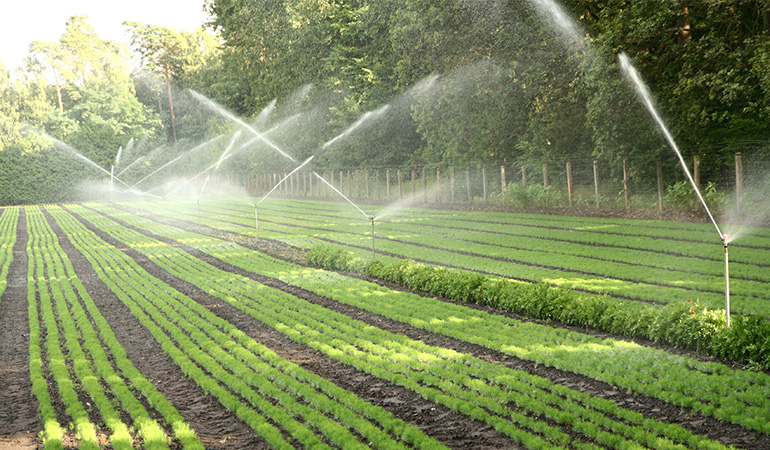 AI in Agriculture — The Future of Farming